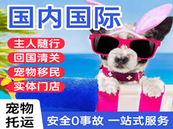 长沙黄花机场快递国际宠物托运 【国
